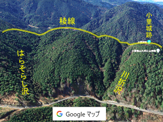 GoogleMap