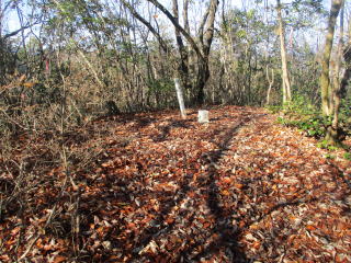 ��m�R�R��