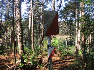 �I���G���e�[�����O�̊Ŕ�