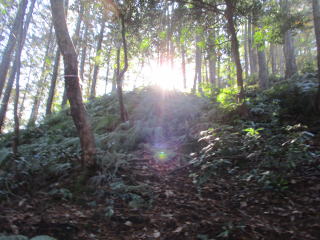 ���z�����ʂɂȂ���