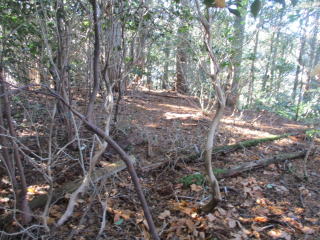 �R�u�̃e�b�y��