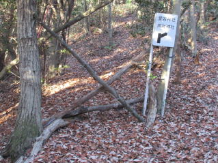 �g�I�Z���{