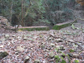 ���h�_��