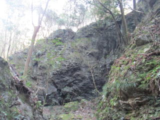 �E��/���҂̊����