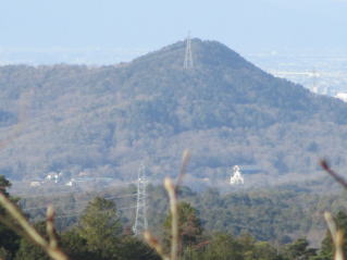 �����x�m�Ƙ[�̖�����