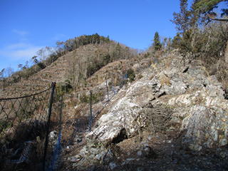 �I��̔���