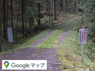 �Ԍ��̗ѓ�����