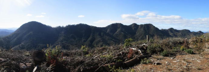 ���؎R���猠���R�̗Ő�