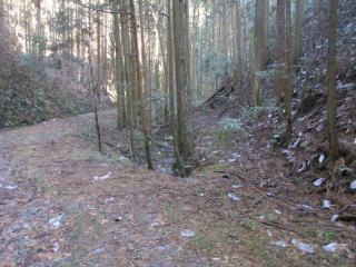 �����ѓ��A�E��������