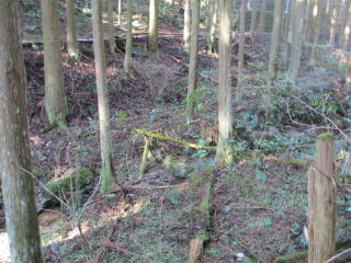 ��Y��ƌ���