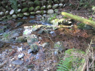 ���������n��Ȃ�