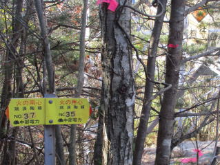 ���Q�����̕W����