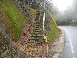 5�ԏ����H����