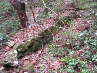 �]���f���̐��H