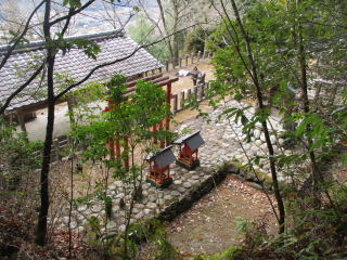 �����_��