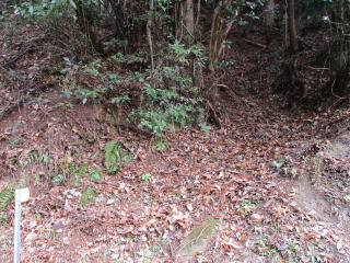 4�ԏ����H����