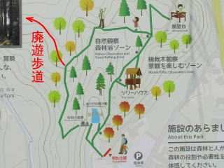 ���摜�̊g��