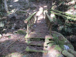 �����^�C���勴