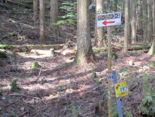 ���W�Ɗ֓d�W����