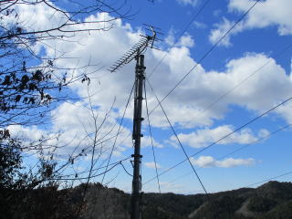 �����A���e�i