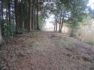 �L���Q��