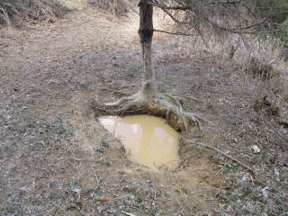 �L��ɂ���ʂ���