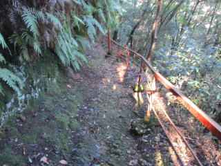 奥の院への参道